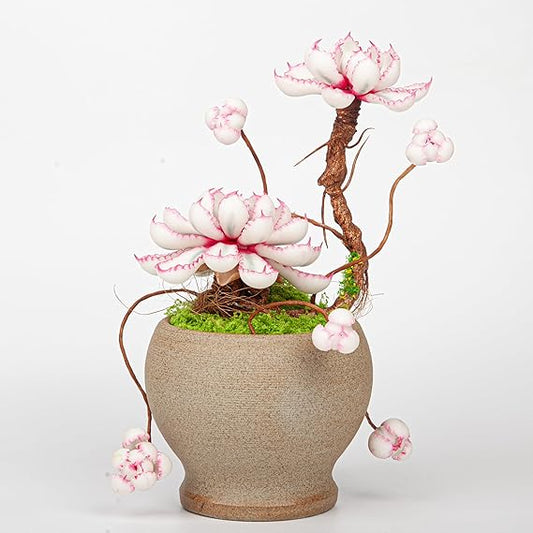 Artificial Succulent Bonsai Arrangement B019