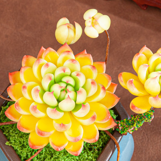 Artificial Succulent Bonsai Arrangement B013