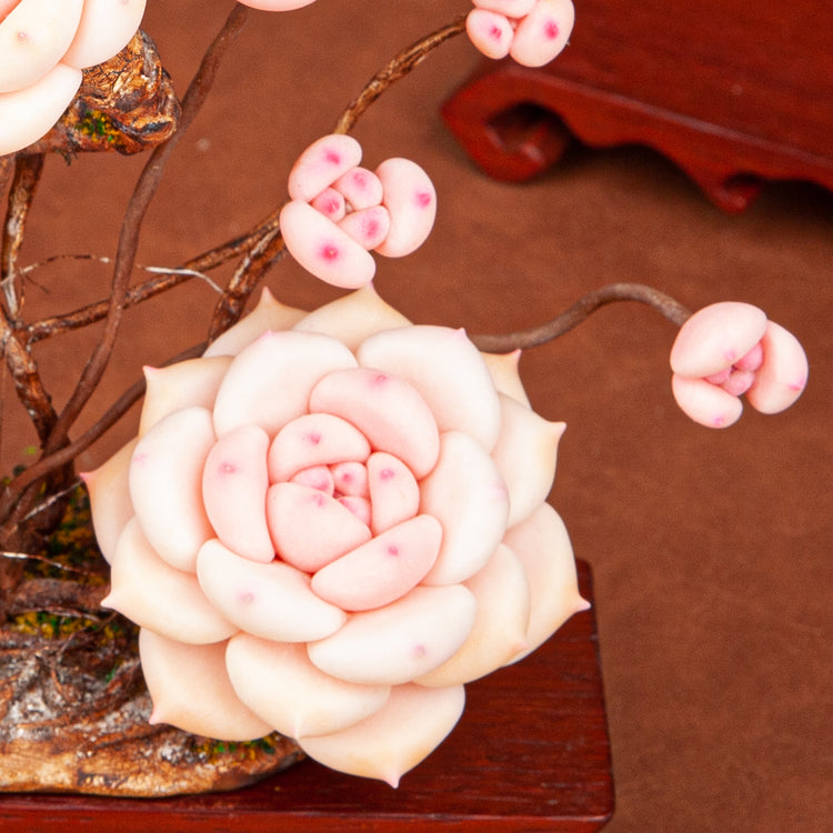 Handmade Clay Succulent Plant W001