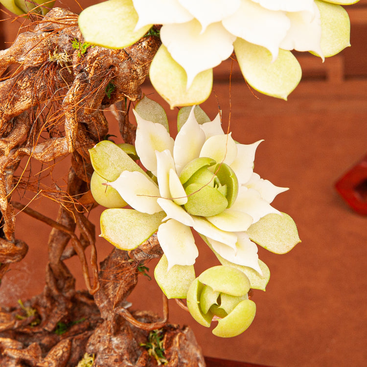 Handmade Clay Succulent Plant W002