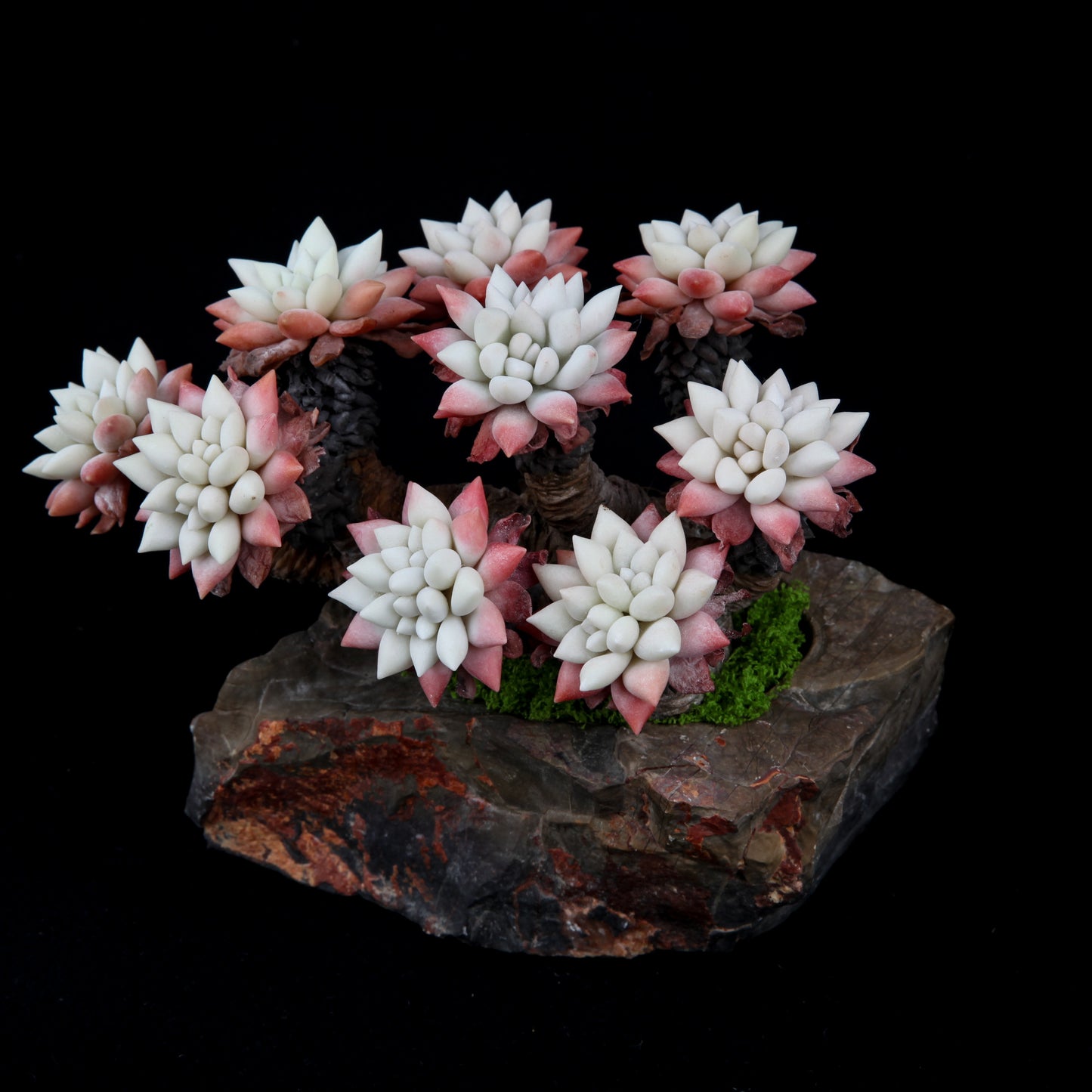 White Chrysanthemum