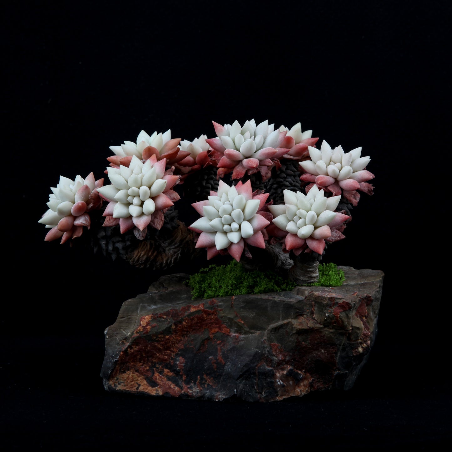 White Chrysanthemum