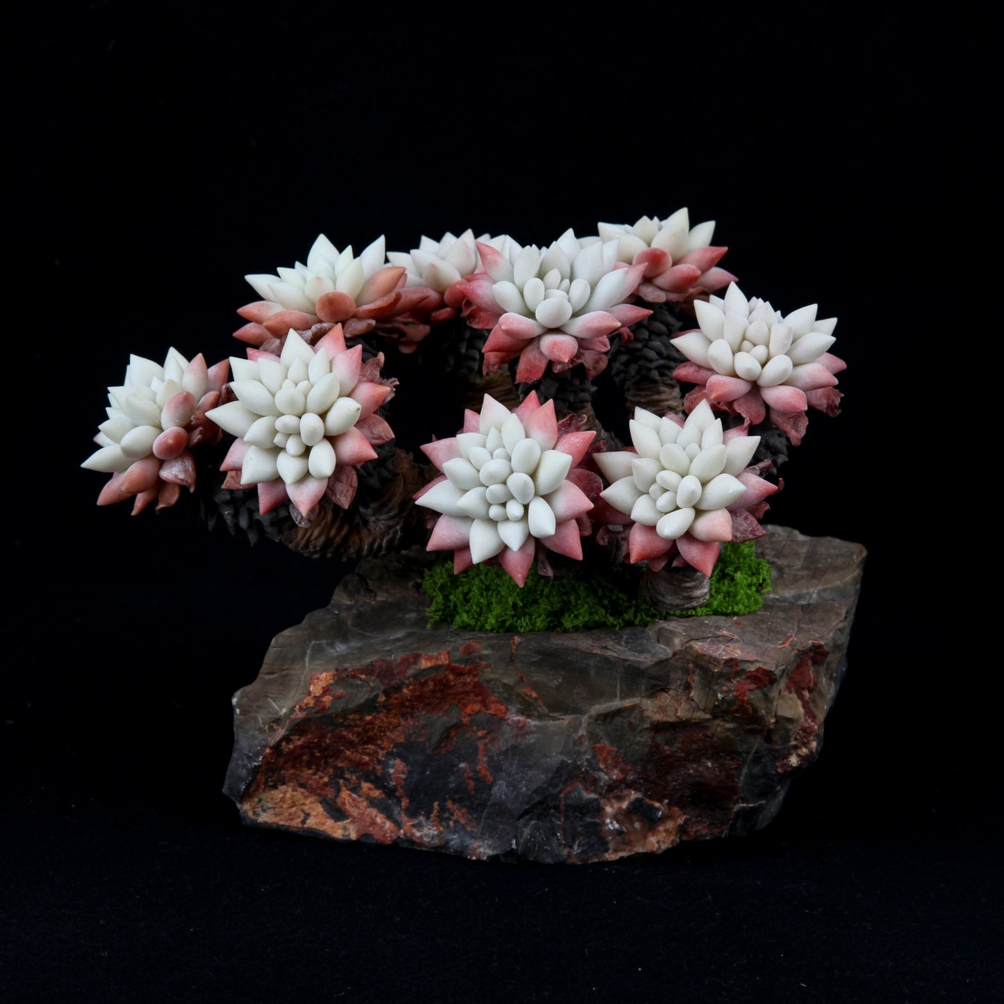 White Chrysanthemum