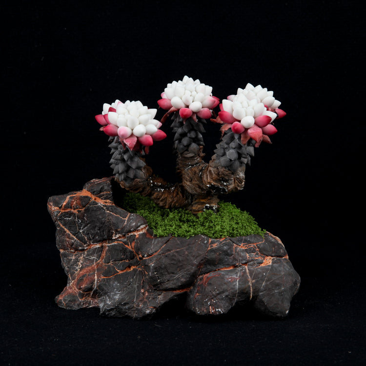 Fairy Cup