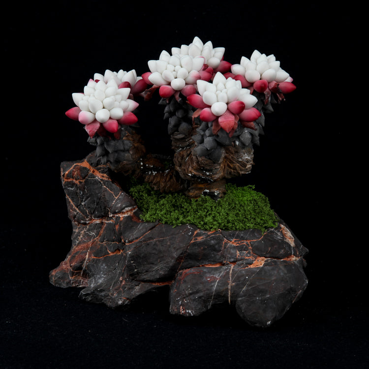 Fairy Cup