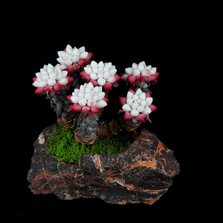 Fairy Cup