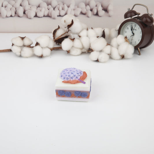 Hydrangea Allure Jewelry Box