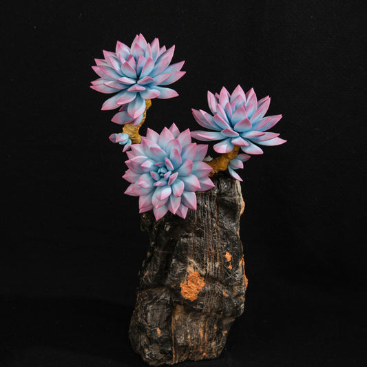 Pink Bluebird