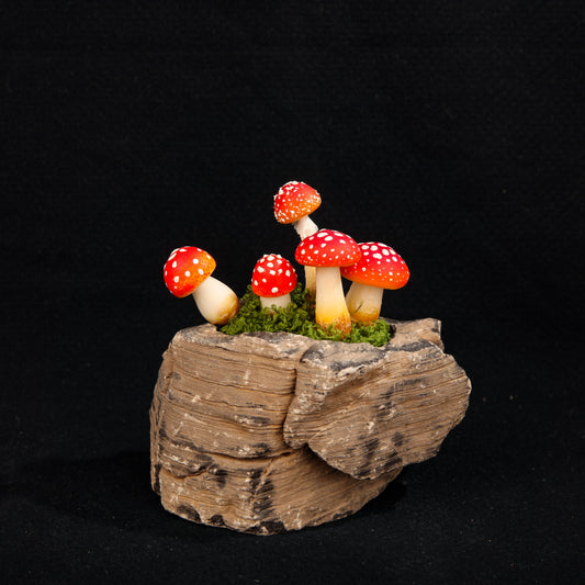 Mushrooms
