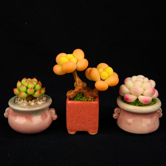 Peach Egg（Set）
