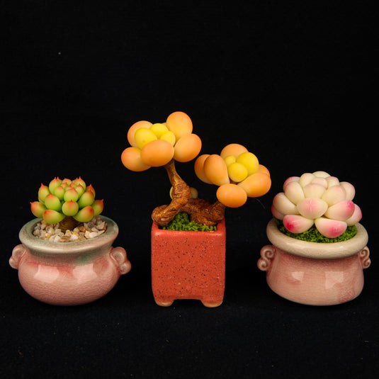 Clay Crafts