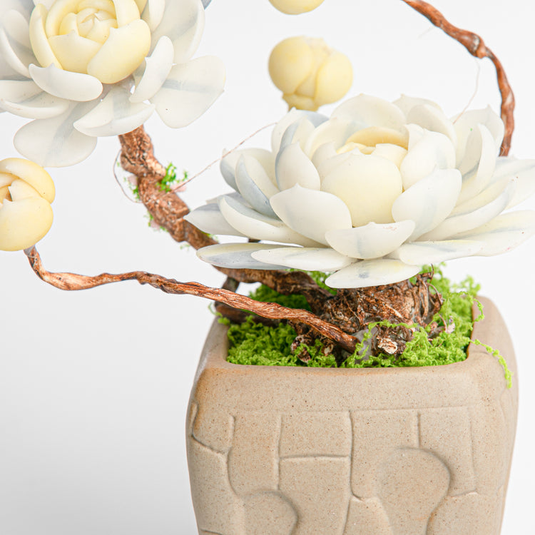 Galagaga Handmade Artificial Succulent  B006