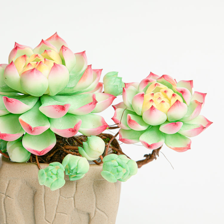 Galagaga Handmade Artificial Succulent  B007