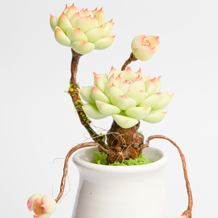 Galagaga Handmade Artificial Succulent  B004