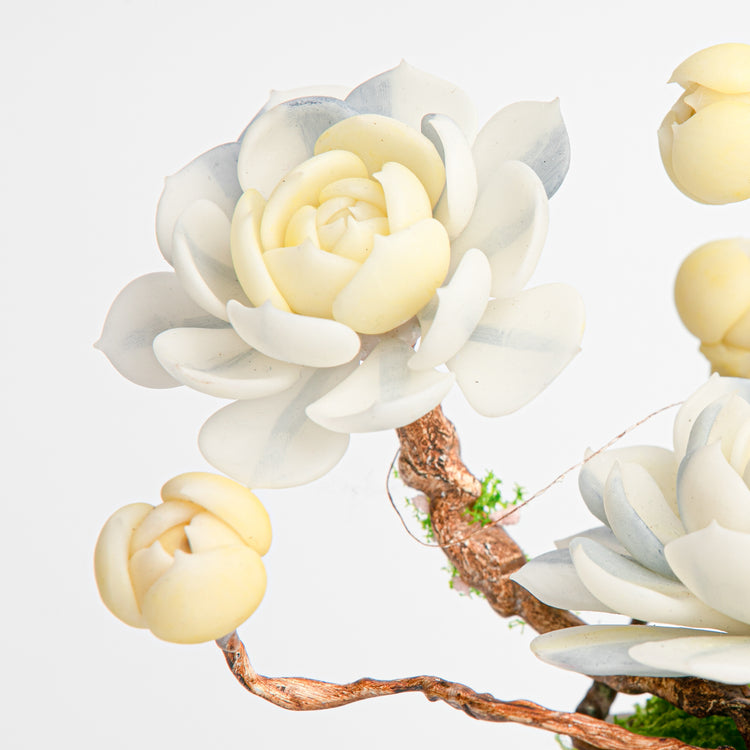 Galagaga Handmade Artificial Succulent  B006