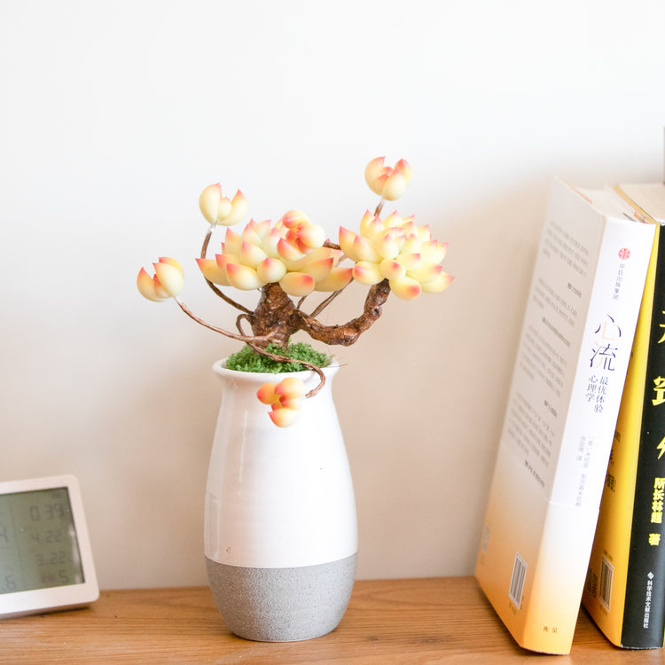 Galagaga Handmade Artificial Succulent  C008