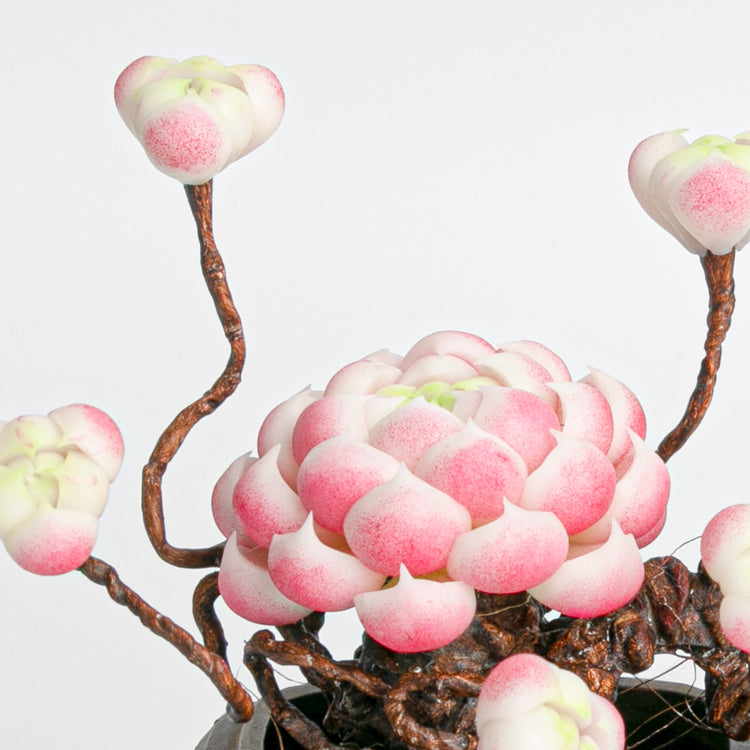 Galagaga Handmade Artificial Succulent  C009