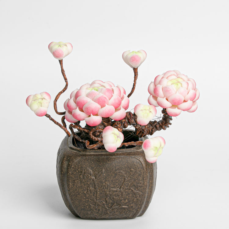 Galagaga Handmade Artificial Succulent  C009
