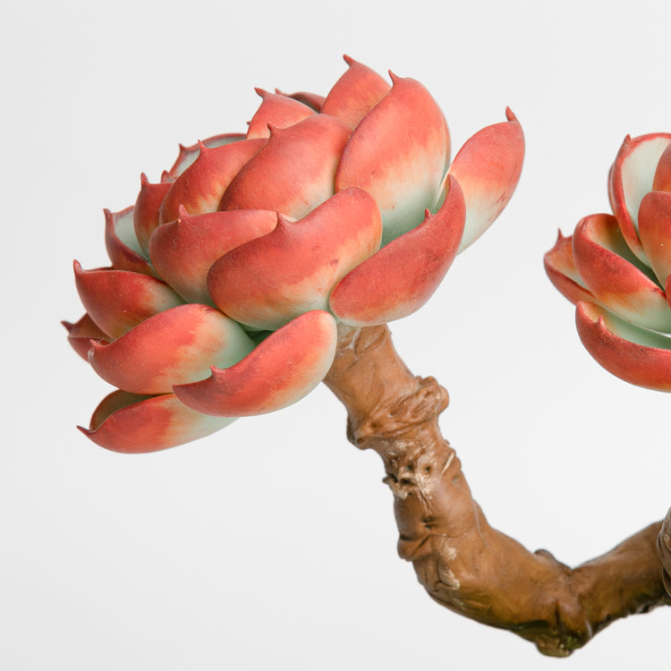 Galagaga Handmade Artificial Succulent  C004