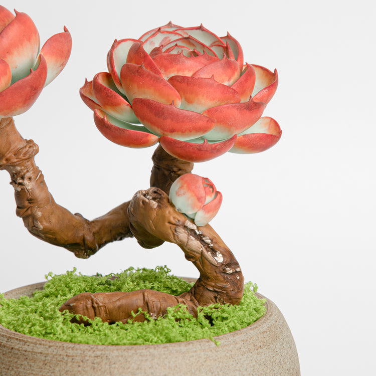 Galagaga Handmade Artificial Succulent  C004