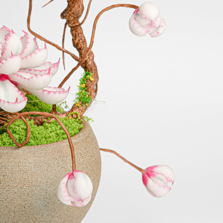 Galagaga Handmade Artificial Succulent  C001