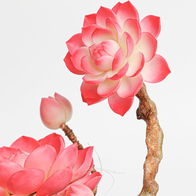 Galagaga Handmade Artificial Succulent  C003