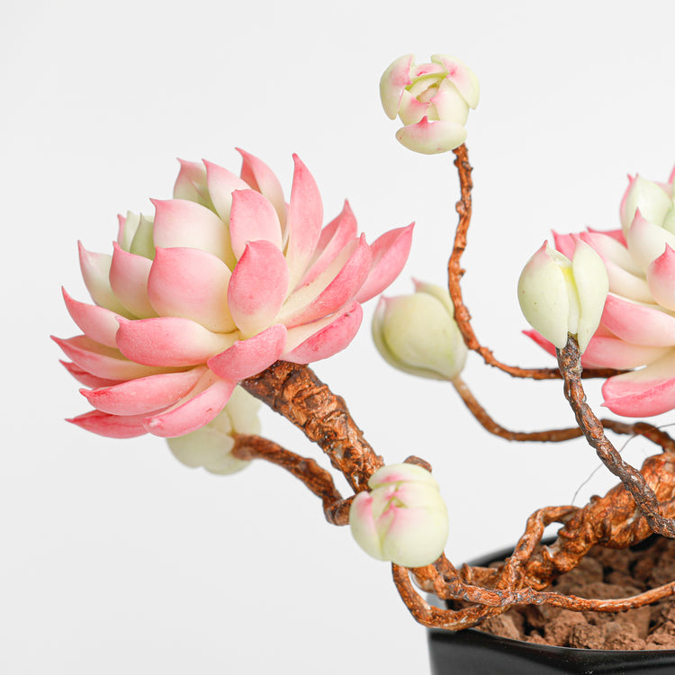 Galagaga Handmade Artificial Succulent  C002