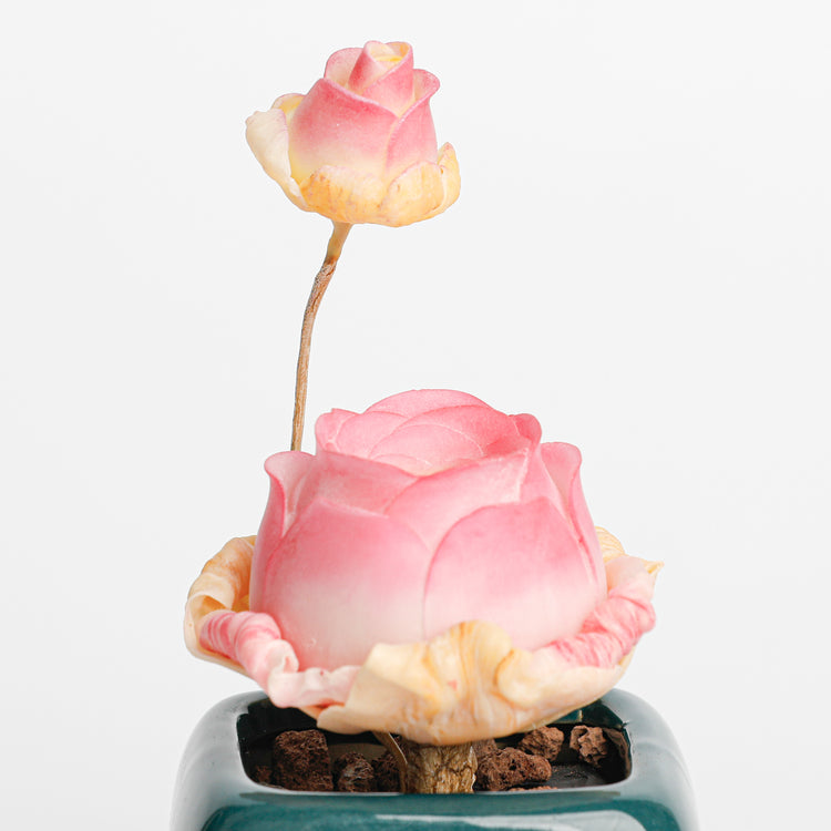 Galagaga Handmade Artificial Succulent Plant A003