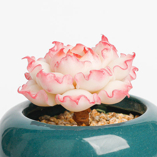 Galagaga Handcrafted Artificial Succulent Plant in Teal Ceramic Pot, White and Pink Flower, Decorative Clay Art - Handcrafted  image 5 - clay succulent