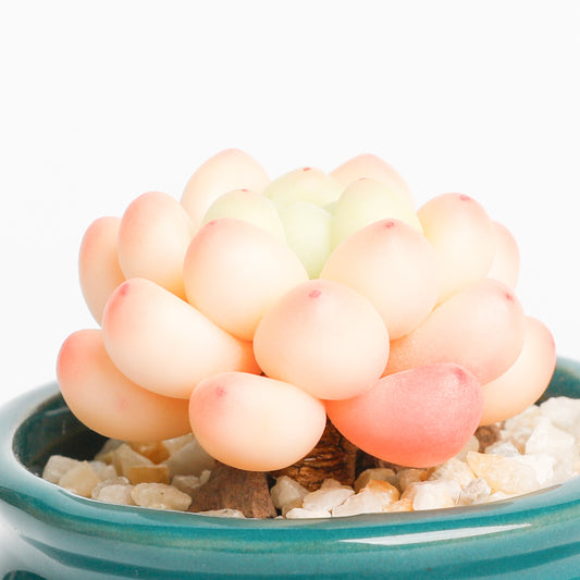 Galagaga Handmade Artificial Succulent  A006