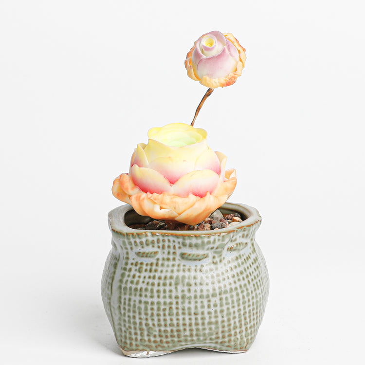 Galagaga Handcrafted Artificial Succulent Plant in Teal Ceramic Pot, Greenovia