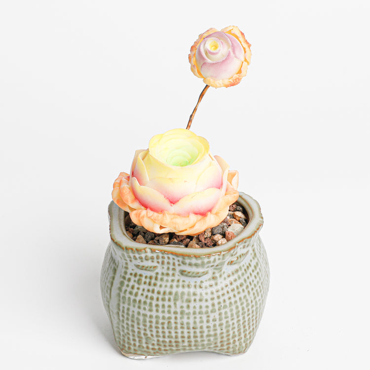 Galagaga Handcrafted Artificial Succulent Plant in Teal Ceramic Pot, Greenovia