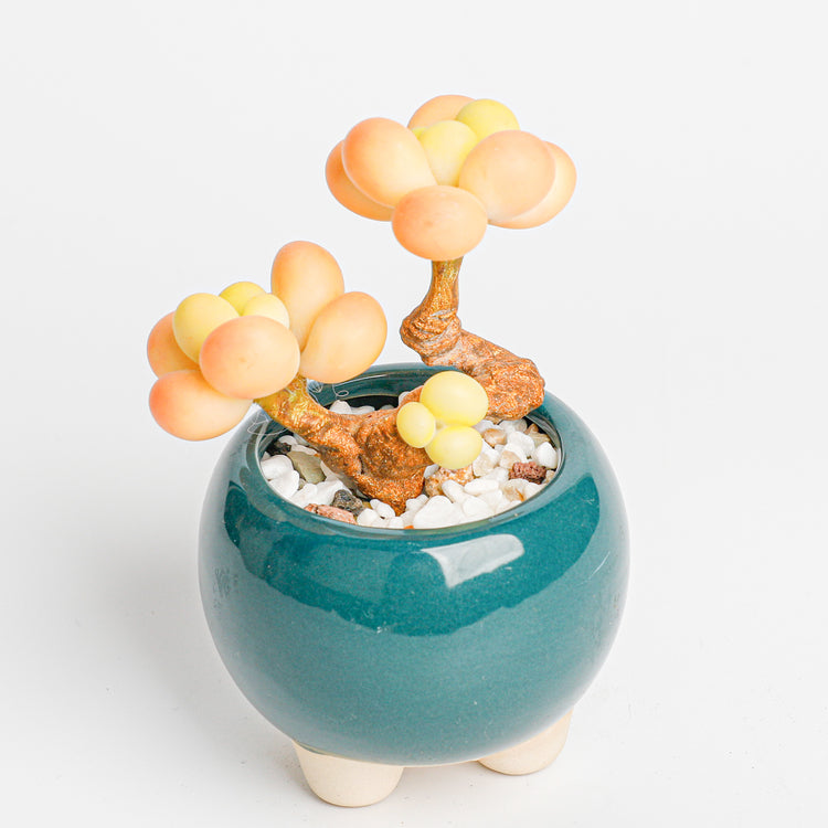 Galagaga Handmade Artificial Succulent Plant A001