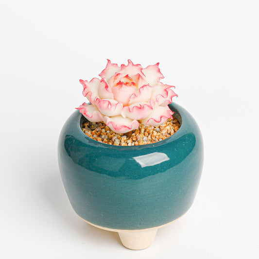 Galagaga Handcrafted Artificial Succulent Plant in Teal Ceramic Pot, White and Pink Flower, Decorative Clay Art - Handmade by Galagaga Studio - clay succulent