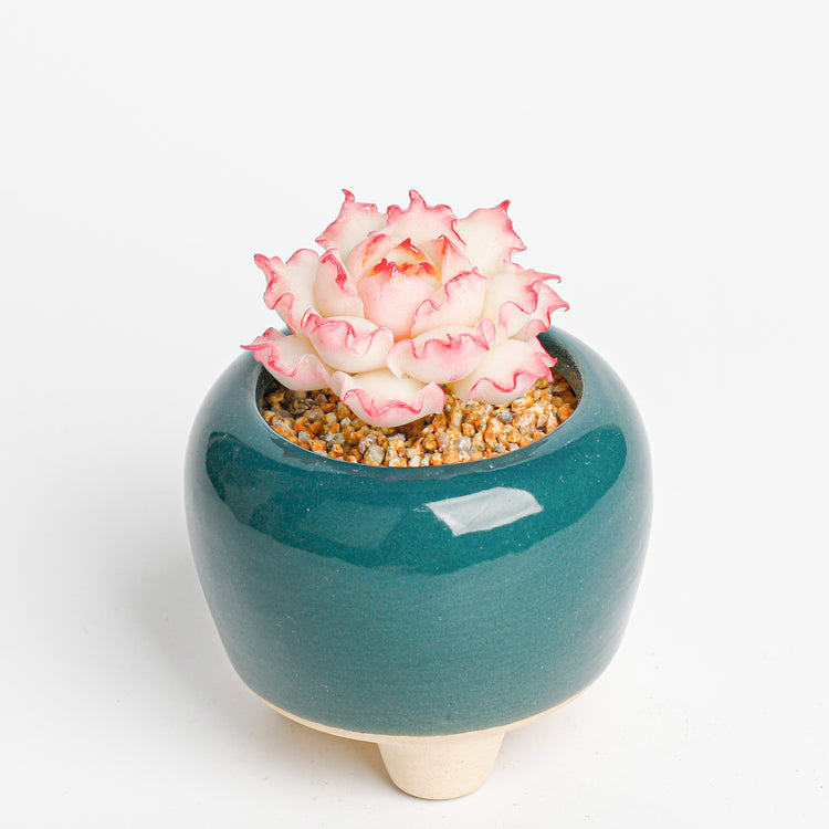 Galagaga Handcrafted Artificial Succulent Plant in Teal Ceramic Pot, White and Pink Flower, Decorative Clay Art - Handmade  by Galagaga Studio - clay succulent