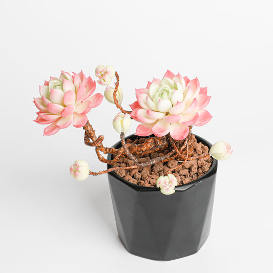 Galagaga Handmade Artificial Succulent C002