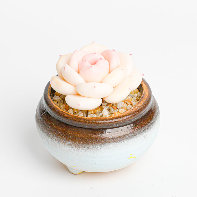 Galagaga Handcrafted Artificial Succulent Plant peachegg