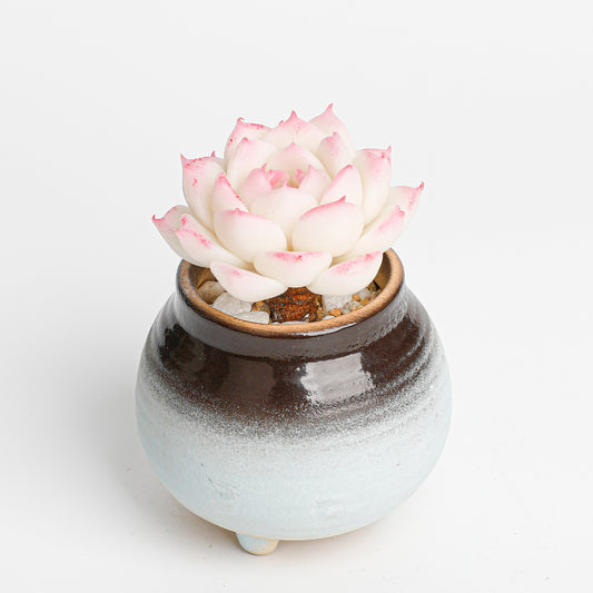 Galagaga Handmade Artificial Succulent Plant peachegg - Detail view of handmade  - clay succulent