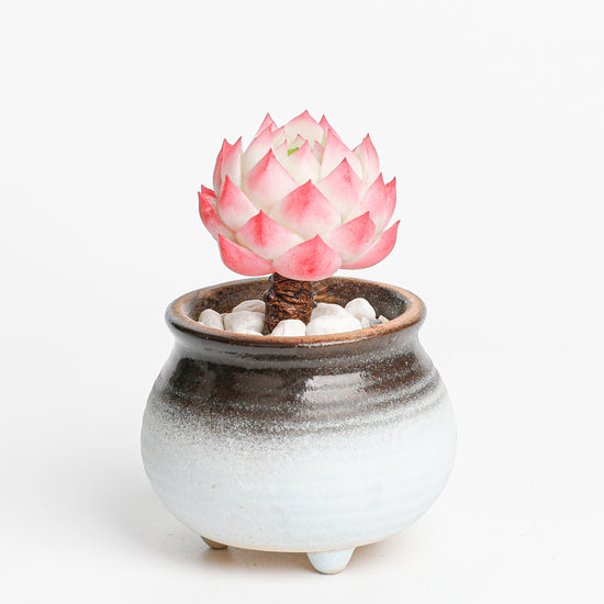 Galagaga Handmade Artificial Succulent Plant stone lotus - Handcrafted  image 4 - clay succulent