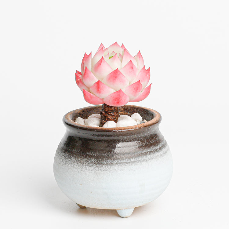 Galagaga Handmade Artificial Succulent Plant stone lotus - Handcrafted  image 4 - clay succulent