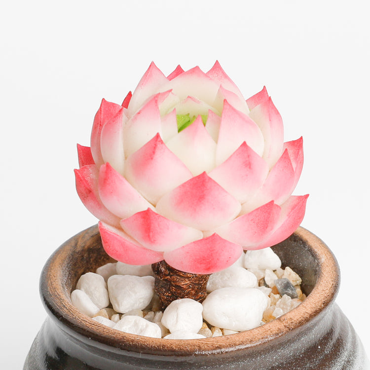 Galagaga Handmade Artificial Succulent Plant stone lotus - clay succulent plant - Artisan-quality craft - limited edition handmade piece