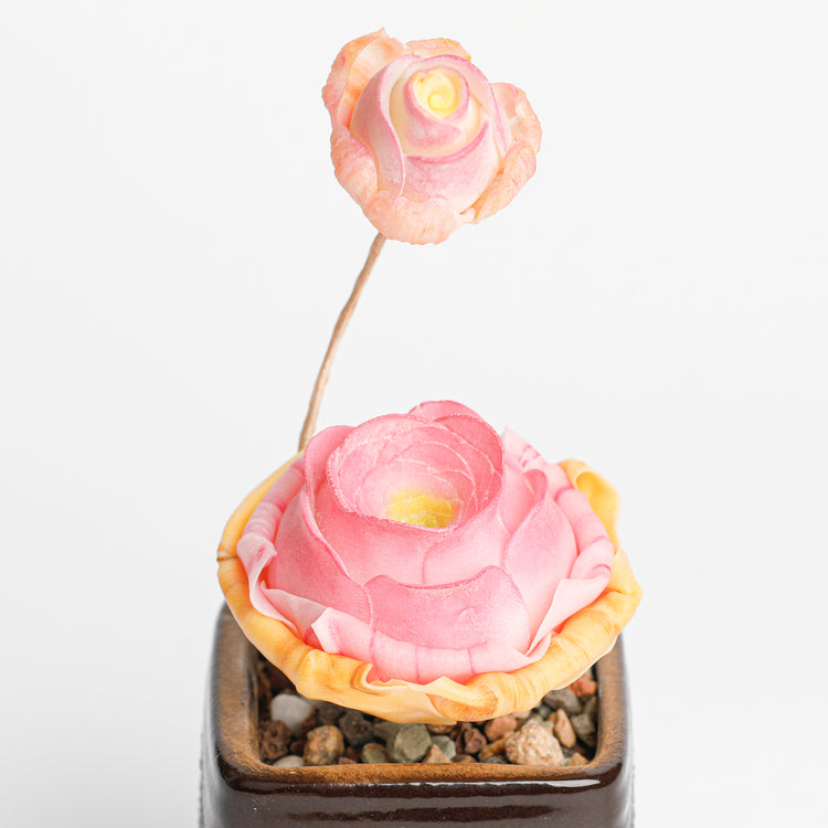 Galagaga Handmade Artificial Succulent Plant A012