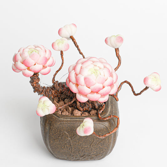 Galagaga Handmade Artificial Succulent C009