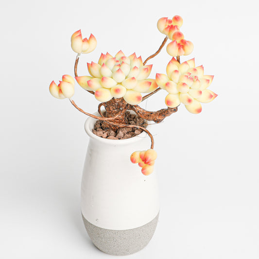 Galagaga Handmade Artificial Succulent  C008