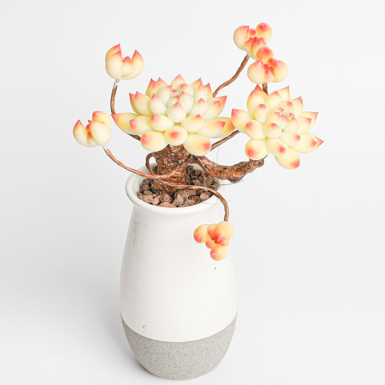 Galagaga Handmade Artificial Succulent  C008