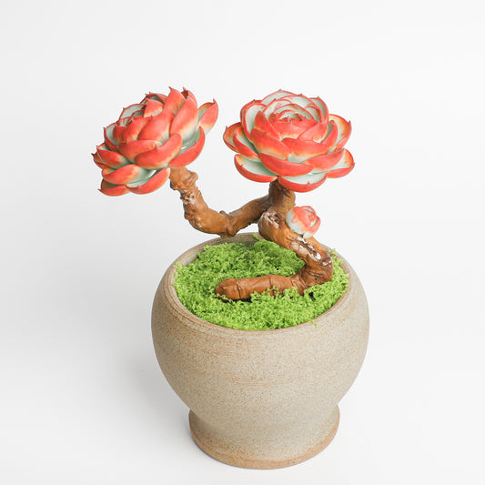 Galagaga Handmade Artificial Succulent C004