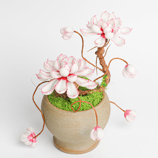 Galagaga Handmade Artificial Succulent  C001