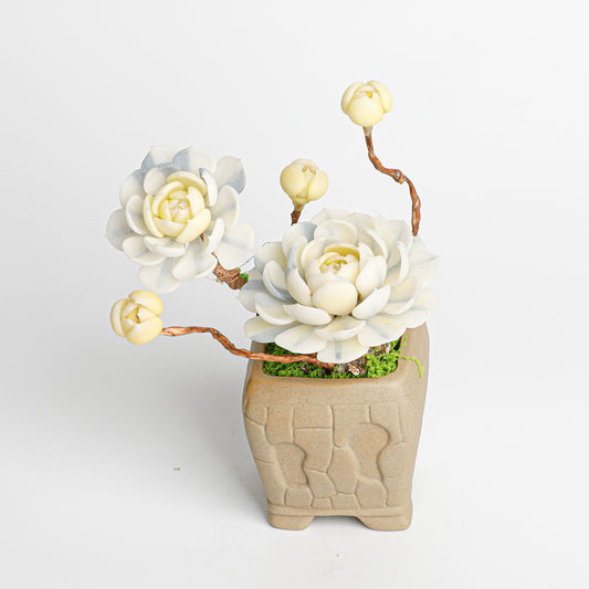 Galagaga Handmade Artificial Succulent B006