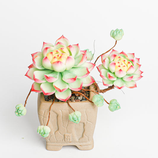 Galagaga Handmade Artificial Succulent  B007