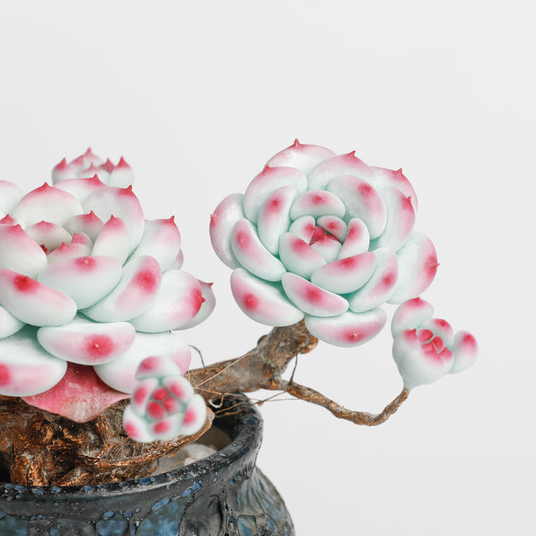 Galagaga Handmade Artificial Succulent  B005